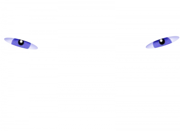 Creation of BoggleBug: Step 2